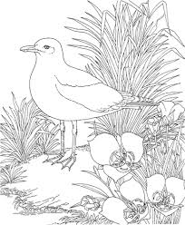 Cut outs of butterfly, spider, and bee. Backyard Animals And Nature Coloring Books Free Coloring Pages Hubpages