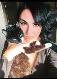 Haw many cats are in the picture🤔