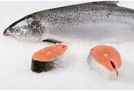 Norwegian Salmon Steak Citarella