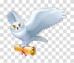 Harry Potter White Owl Transparent Background Png Clipart Hiclipart See more ideas about harry potter, harry potter universal, harry potter funny. harry potter white owl transparent