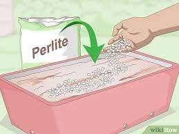 We did not find results for: 3 Ways To Keep Soil Moist Wikihow