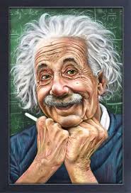 ALBERT EINSTEIN JAMES DANGER 13x19 FRAMED GELCOAT POSTER CHAOS THEORY  GENIUS NEW