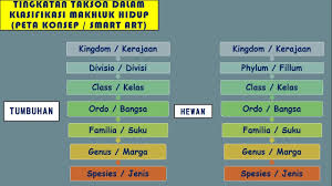 Pengamatan tahapan pertama dalam proses penyelidikan ipa adalah pengamatan. Penyelidikan Ipa Pengamatan Membuat Inferensi Mengkomunikasikan Ipa Kelas 7 Youtube