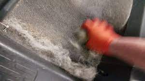 This is the easiest way to remove dog hair from your car and house. Easiest Way To Remove Dog Hair From A Car Pumice Stone Youtube