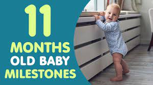 11 Months Old Baby Milestones Youtube