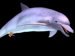 I just to wanted comment on your signature that that is the correct way to spell asperger's i should know. Dolphin Tailhole Vore Extended Youtube