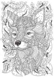 Pin By Nichol Johnson On Coloring Pages Fox Coloring Page Animal Coloring Pages Pattern Coloring Pages