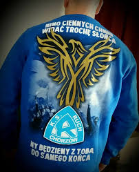 Ruch chorzów is a polish association football club based in chorzów, upper silesia. Sklep Kibica Bluza Szyta Od Podstaw Przod Farba 3d Tyl Facebook
