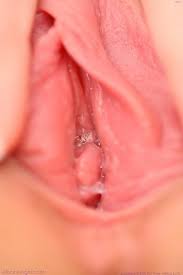 XXX-HOT.FR : SEXE HOT VIDEO PENETRATION sur Paris - Vivasexe.com