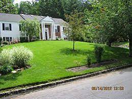 Todd has helped, revolutionize organic land care. Madison Organic Lawn Care Service Greener Lawns