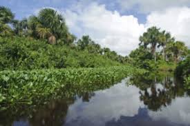 Venezuela (pago por taquilla, internet ). Reiseregionen Venezuelas Venezuela Reisen Informationsportal