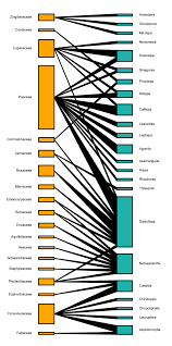 Image result for Microstegium fasciculatum