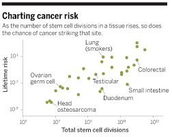 Pick up new ideas along the way, jot them down carefully for peaceful study and application later. The Bad Luck Of Cancer Science