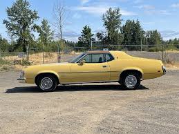 Image result for Yellow 1973 Mercury