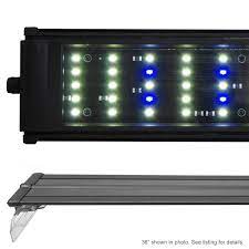 Since the lights help the plants grow, you need to make sure that they're going to do just that. Can Led Lights Grow Aquarium Plants The Good Algae