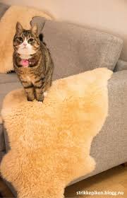 Også unngå å bruke såpe som inneholder enzymer, inkludert. Strikkepiken Vask Av Saueskinn