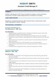 credit administration manager resume