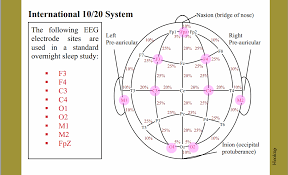 10 20 System Polysomnography Study Guide