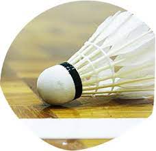Badminton bordesholm