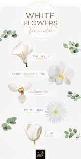 It has a beautiful arching form and is covered with an abundance of pink flowers every year in the summer. 40 Types Of White Flowers Ftd Com