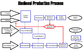 Biodiesel Production And Quality Yongrun