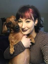 Collecting wiener dog figurines for all seasons