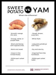 Free vegetables coloring pages available for printing. Sweet Potatoes Vs Yams What S The Difference Mississippi State University Extension Service