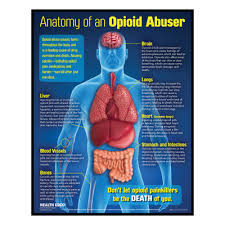 Drug Abuse Education Materials Products Health Edco