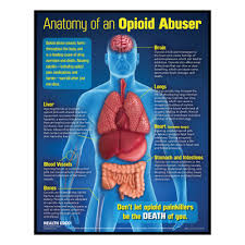 drug abuse education materials products health edco