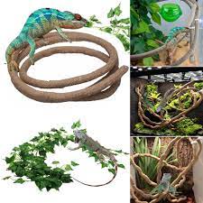 Les reptiles cute reptiles reptiles preschool cãezinhos bulldog king cobra snake animals beautiful cute animals snake painting king cobra. 1 5 2 5 3m Habitat Jungle Climber Lizard Flexible Vines Reptiles Terrarium Decor Ebay