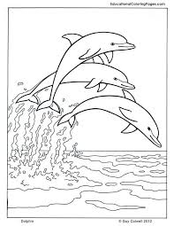 Identify 15 different creatures in these animal coloring sheets. Printable Dolphin Coloring Pages Coloring Home