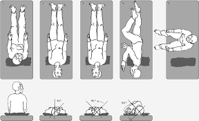 The home epley maneuver is a type of exercise help that helps to treat the symptoms of benign paroxysmal positional vertigo (bppv). Https Www Activator Com Wp Content Uploads Home 20epley 20handouts Pdf
