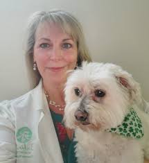 Alternative medicine doctor in Surf City/Hampstead area?