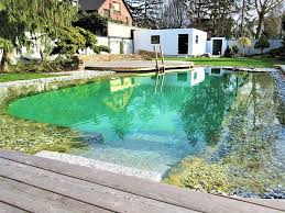 Naturpool Im Innenhof Naturschwimmbader Schwimmteich Naturschwimmbecken