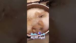 الرز المديني بالدجاج Youtube