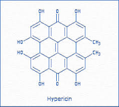 Image result for Psorospermum baumii