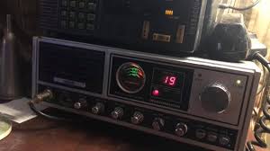 Image result for Teaberry T-Command