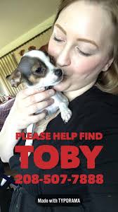 Please keep your eye out for Toby. He is lost in Woonsocket, Rhode Island.