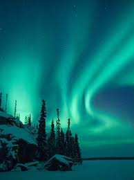 Teal Sky And Pine Trees Northern Lights Aurora Borealis Northern Lights Aurora Borealis