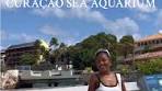 Sea Aquarium Day: Unforgettable Animal Encounters - TikTok