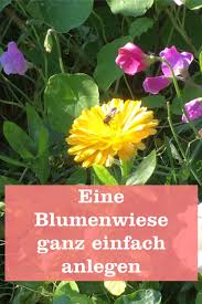 Blumenwiese Einfach Anlegen Gartenbob De Der Garten Ratgeber Blumen Wiese Blumenwiese Blumenwiese Anlegen