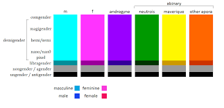 plural diversities based on genderflux chart from