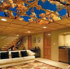Ceiling Art Fits Easily Into Your Dropped Ceiling Or Suspended Ceiling Grid And Provides Not Only Easy Acces Dropped Ceiling Basement Ceiling Suspended Ceiling