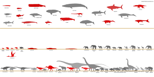 Megafauna Size Comparison Chart By Sameerprehistorica
