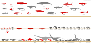 megafauna size comparison chart by sameerprehistorica