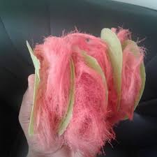 images?q=tbn:ANd9GcQ3u_AHLEjdDdl2ygj_hyE