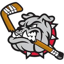 Welcome to bulldogs hockey club elite! Crown Point Bulldog Hockey Team Home Facebook