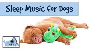 Watch your dog fall asleep before your eyes when he listens to this music! The Dog Song Music To Help Your Dog Sleep Rmd09 Youtube