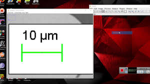 Imagej Tutorial How To Set Scale Bar In Micro Structure Using Imagej Youtube