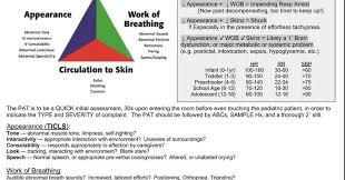 Image result for Pediatric Assessment Triangle